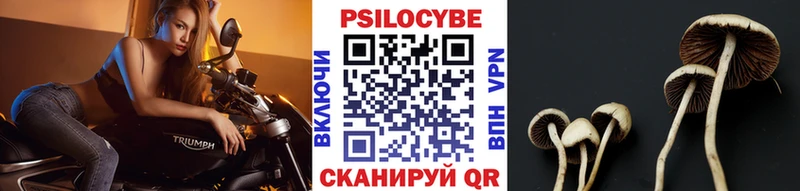 Псилоцибиновые грибы мухоморы  ссылка на мегу онион  Кущёвская 